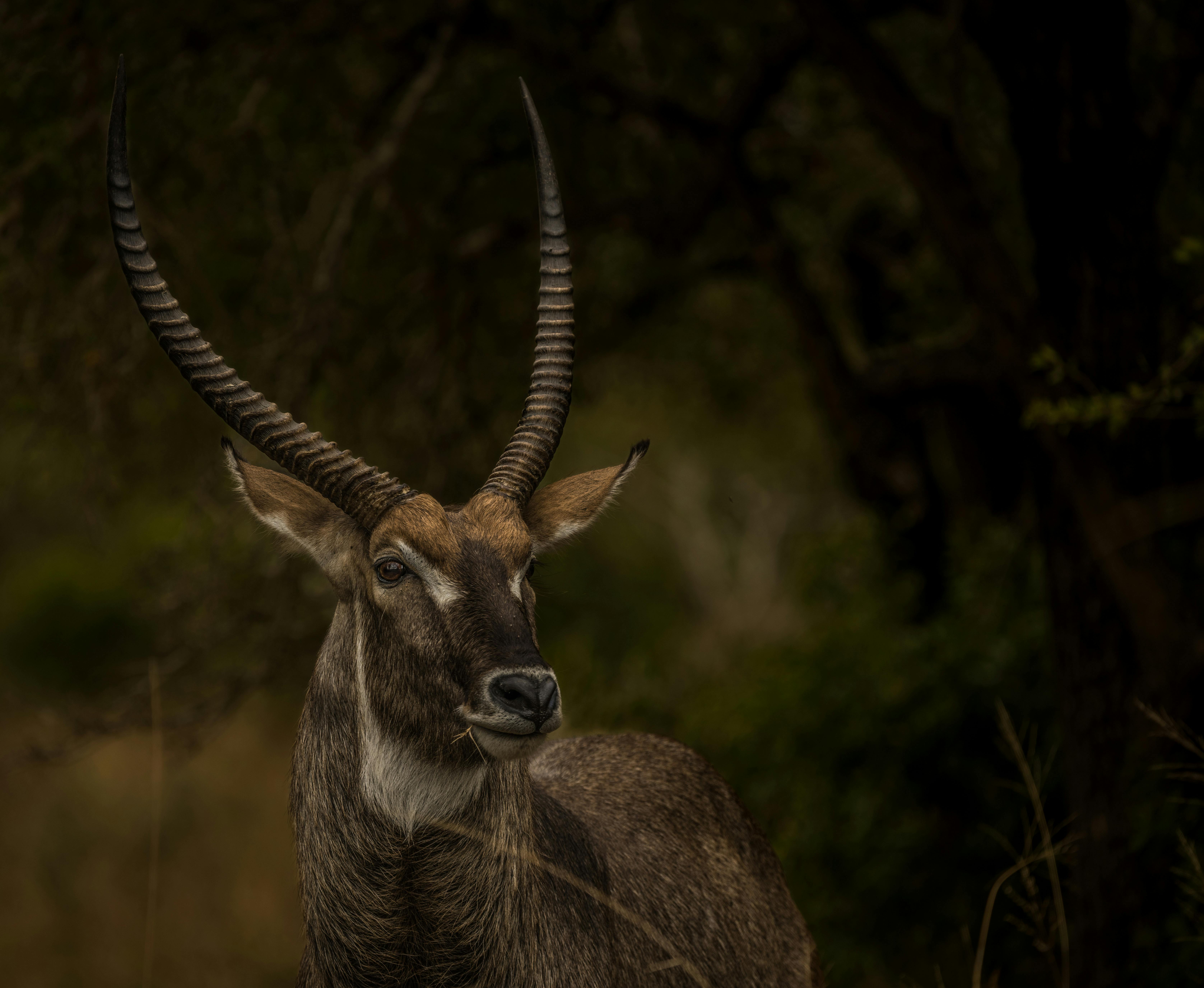 Kenia ETA Visum Guide